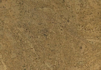 Пробковый пол Corkstyle EcoCork Madeira Sand