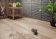 Кварц-виниловый LVT ламинат AquaFloor RealWood Glue / РеалВуд Глу AF6032 Glue